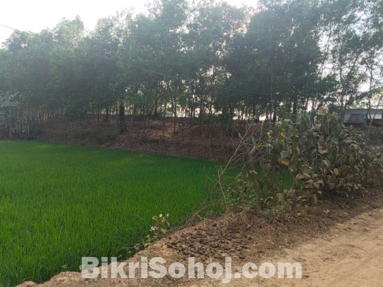 জমি বিক্রয়